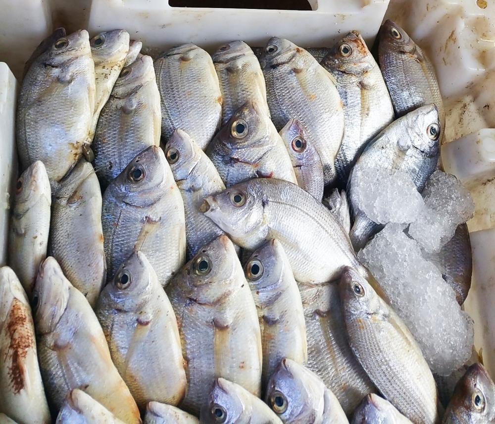 A tray of fresh small fish.